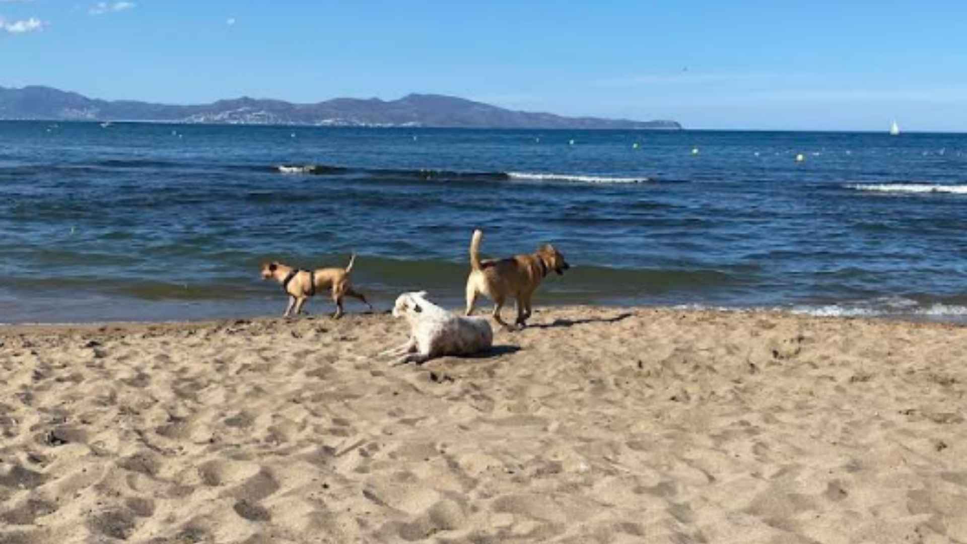 Playa Rec del Molí (l’Escala – Girona)